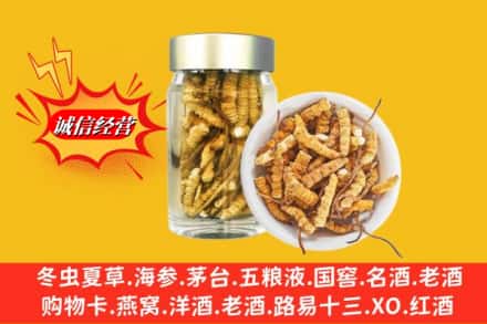 安义县回收散虫草